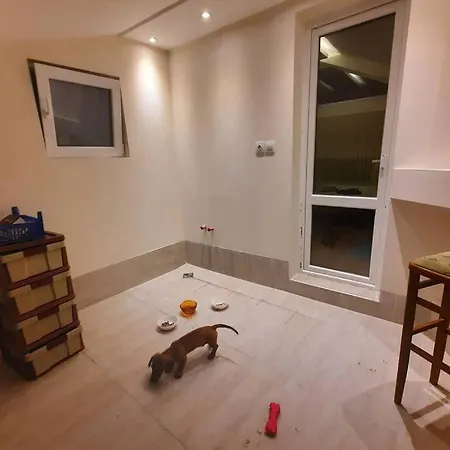 The Penthouse